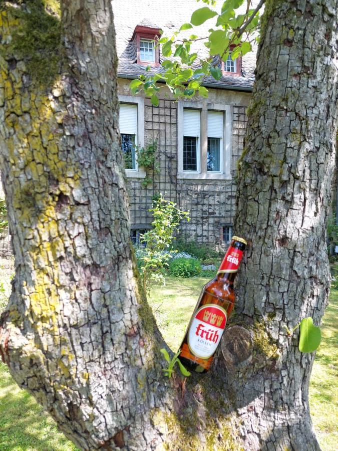 Pension Marienhof Kobern-Gondorf Bagian luar foto