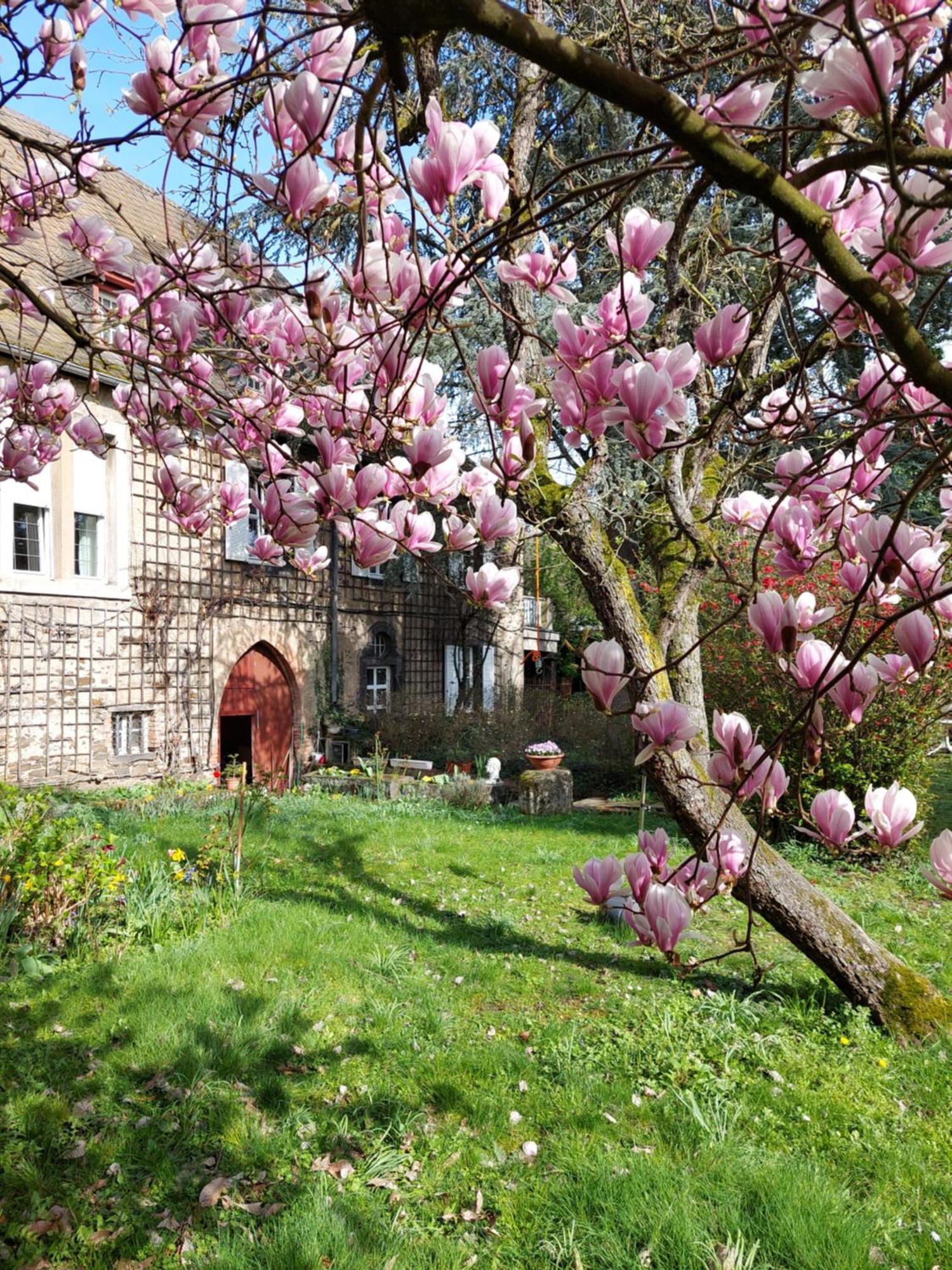Pension Marienhof Kobern-Gondorf Bagian luar foto